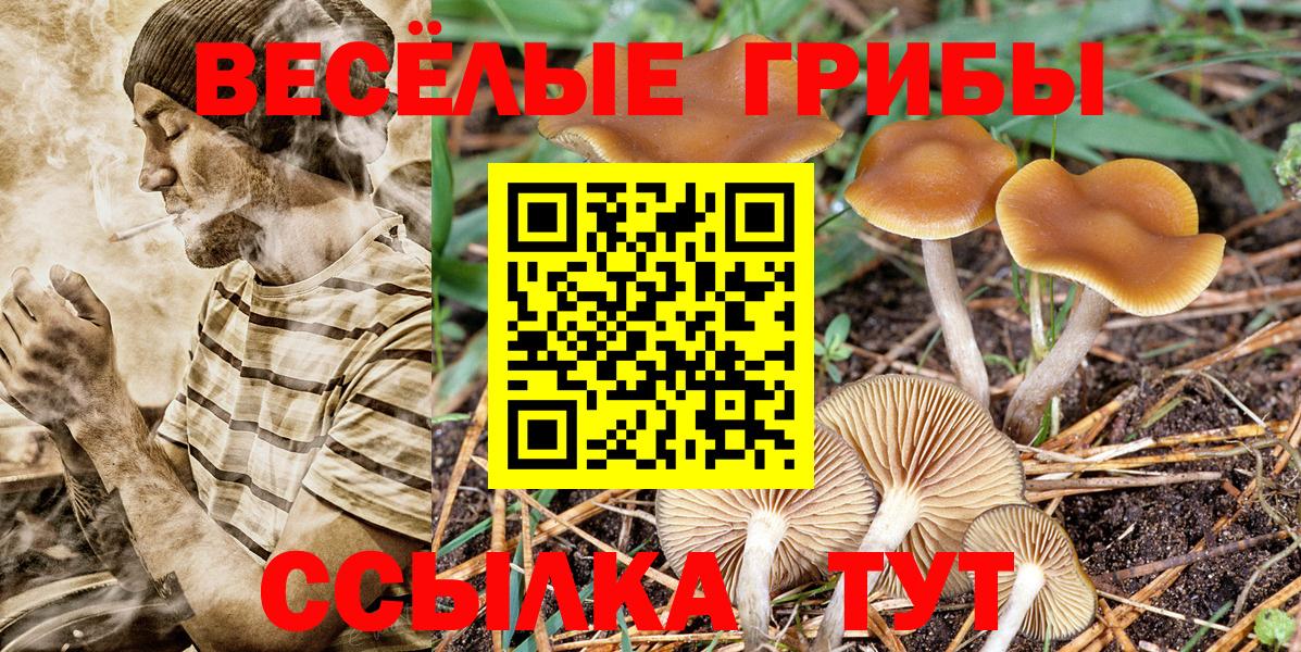 Галлюциногенные грибы Cubensis Ялуторовск