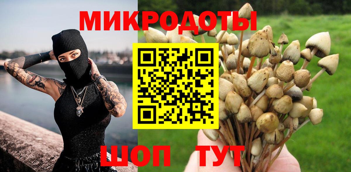 купить закладку  Вход с VPN  Ялуторовск  Псилоцибиновые грибы Cubensis 